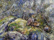 Partridges