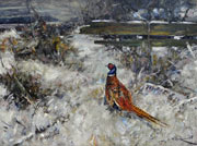 Pheasant in the Snow
