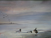 Open Water