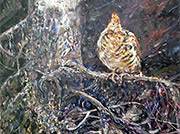 Bird in a Tree