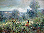 Pheasant