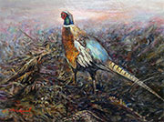 Pheasant in the Snow