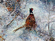 Pheasant in the Snow