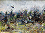 Pheasants in a Field