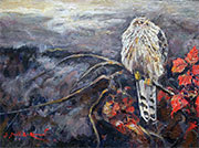 Pissed Hawk