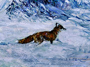 Fox in the Snow