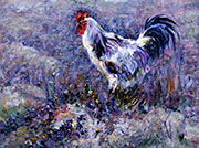 Lakenvelder Rooster