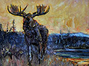 Moose