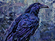 Dark Raven