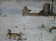 Cat in the Snow