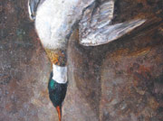 Duck Down